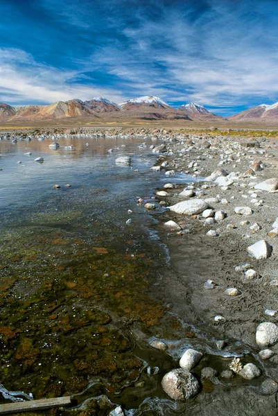 Parque Nacional do Sajama — Fotografia de Stock