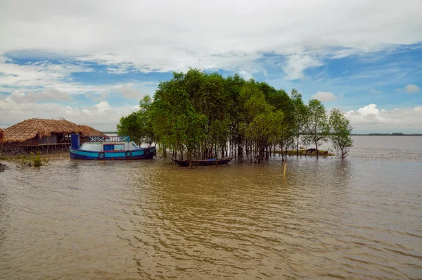 Pueblo en Bangladesh — Foto de Stock