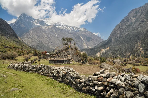 Kanchenjunga —  Fotos de Stock