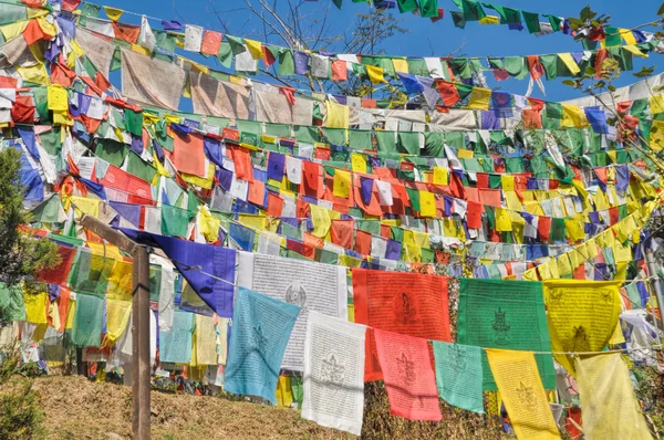 Buddistisk bön flaggor i Dharamshala, Indien — Stockfoto