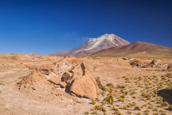 玻利维亚的火山 — 图库照片