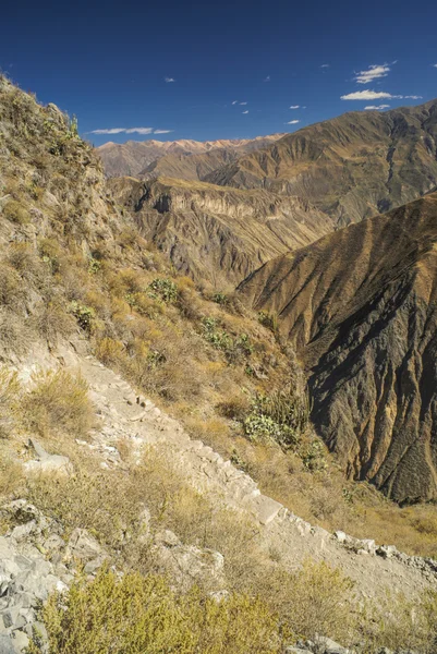 Canon del Colca