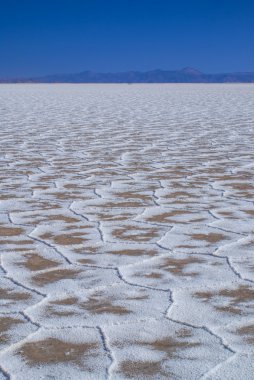 Salinas grandes