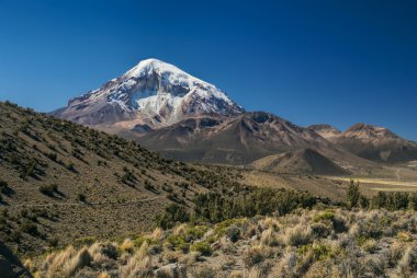 Nevado Sajama