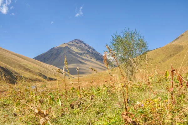 Graslanden in Kirgizië — Stockfoto