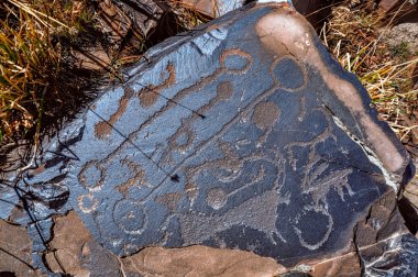 Ancient petroglyphs clipart