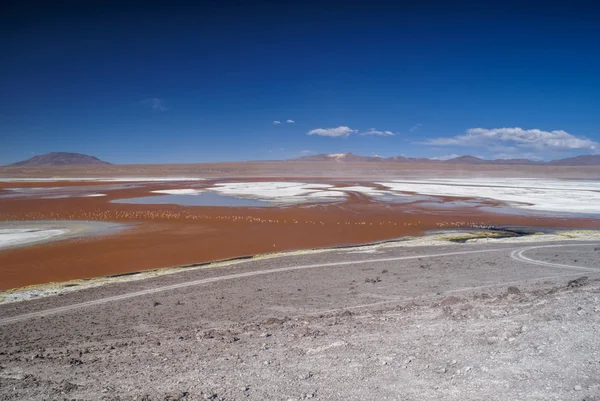 Kırmızı lake — Stok fotoğraf