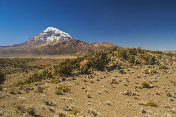 Nevado Sajama — Fotografia de Stock