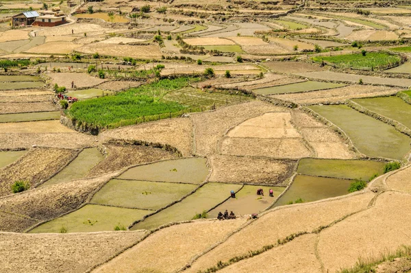 Nepal alanları
