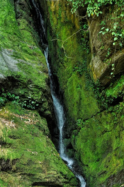 Green waterfall — Stock Photo, Image