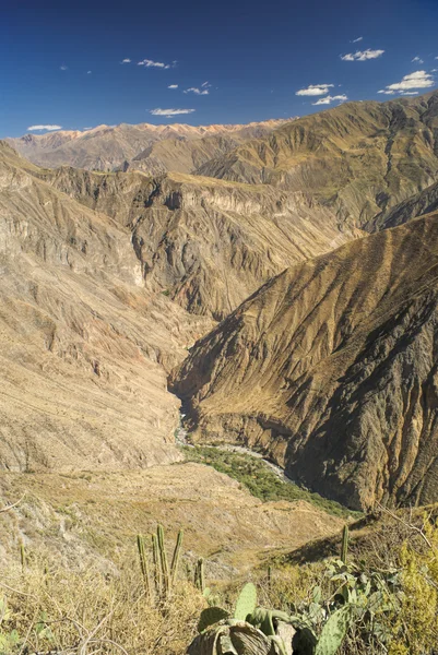 Canon del Colca — Stock fotografie