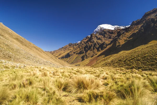 Andes peruanos — Fotografia de Stock