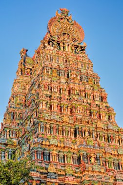 Meenakshi Amman Tapınağı