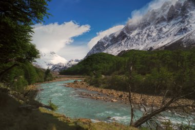 Los Glaciares Ulusal Parkı