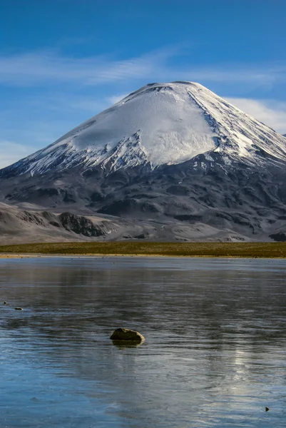 Nevado Sajama — Fotografia de Stock