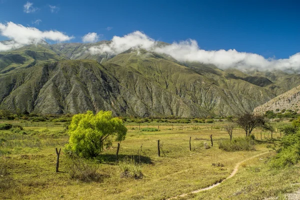 Kopce v Salta Argentina — Stock fotografie