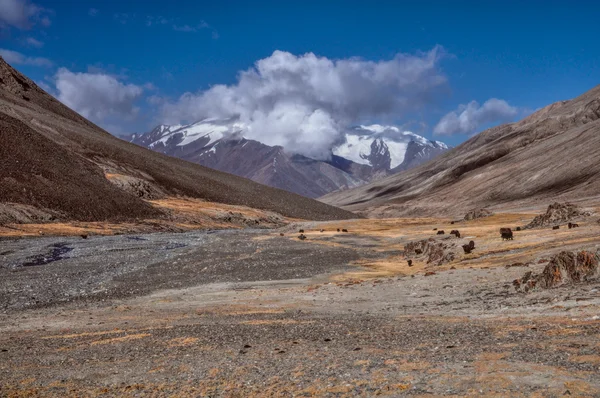 Dolina w Tadżykistanie — Zdjęcie stockowe