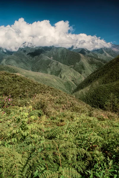 Valle delle Ande — Foto Stock