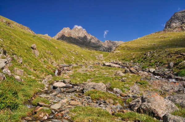 Tien-Shan — Stock Photo, Image