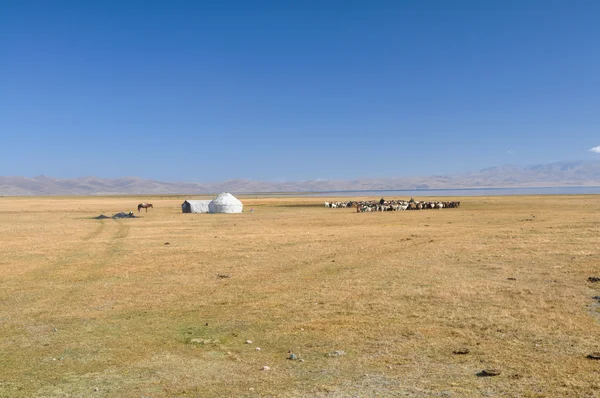 Yurta in Kirghizistan — Foto Stock