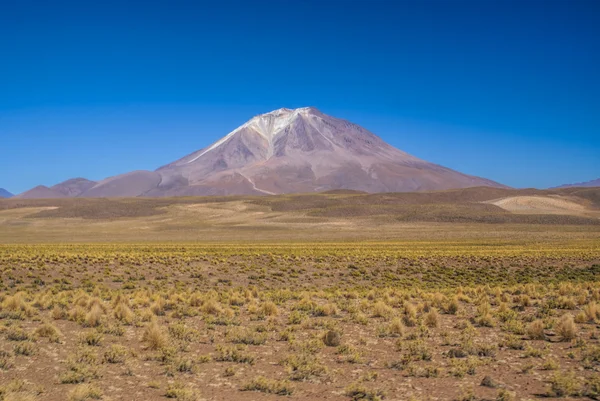 Bolivianska vulkan — Stockfoto