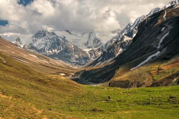 Valle en himalayas — Foto de Stock