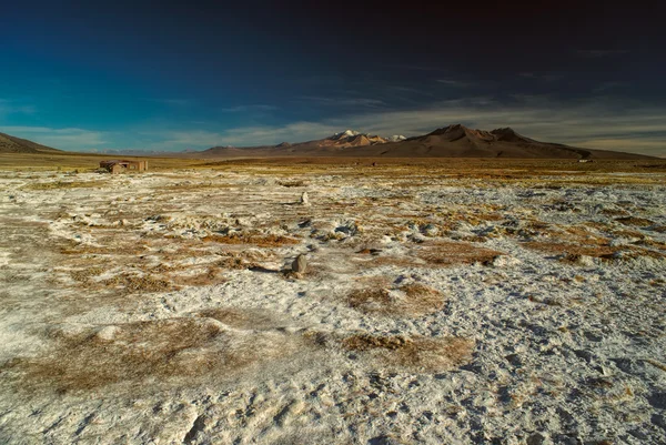 Sajama — Stockfoto