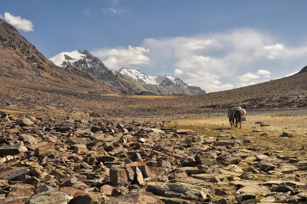タジキスタンの乾燥谷 — ストック写真