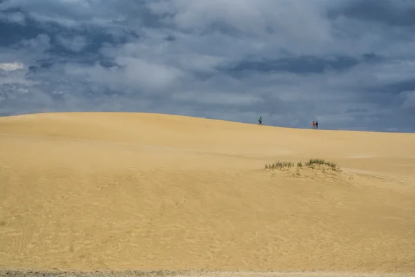 Sand dunes — Stock Photo, Image