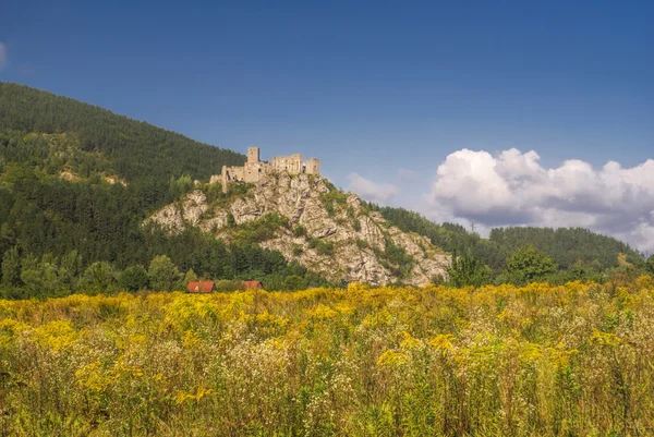 Strecno castle — Stock Photo, Image