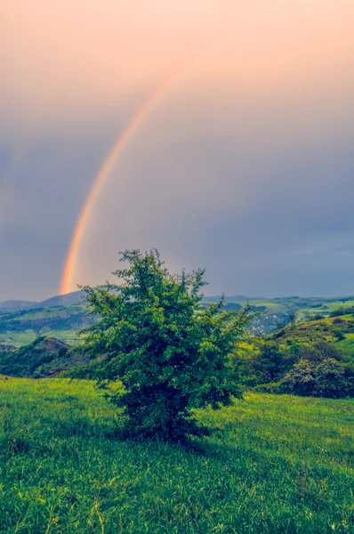 Karabakh — Stock Photo, Image