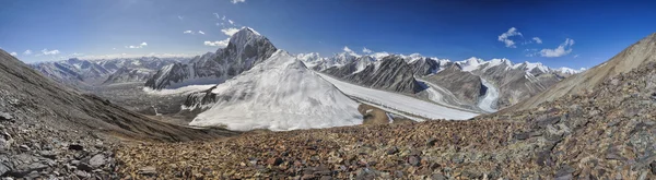 Gletscher in Tadschikistan — Stockfoto