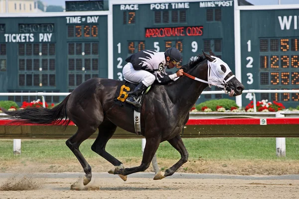Race horse at top speed passes tote board — Stock Photo, Image