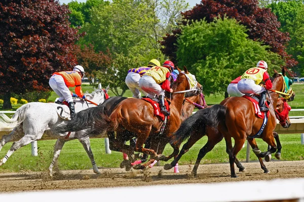 Les chevaux de course se dirigent vers le premier virage — Photo