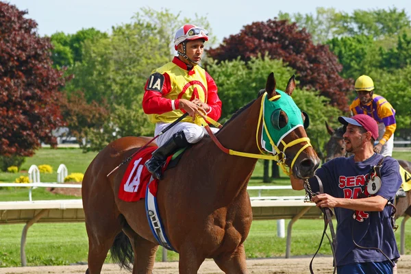 Jockey and horse after race ended — Stock Photo, Image