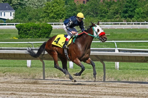 Yarış atı ve jokey dörtnala bitirmek için