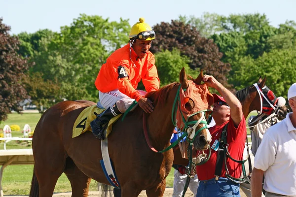 Jockey visar tillgivenhet till race häst — Stockfoto