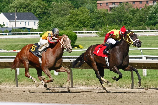 競走馬を競争します。 — ストック写真