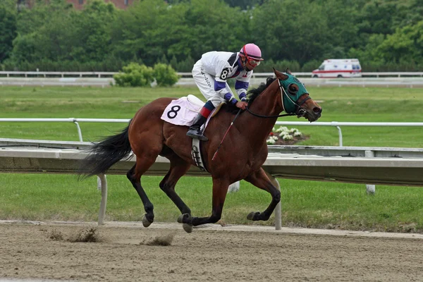 Bitiş çizgisine yarış atı dörtnala