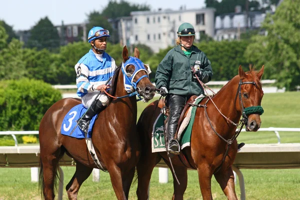 Race Horse and handler — Stock Photo, Image