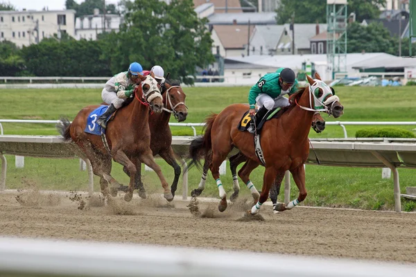 Race Horses compete to the finish line — Stock Photo, Image