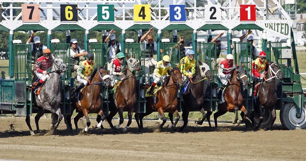 Paardenrace starting gate — Stockfoto