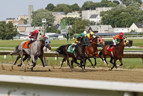 At yarışı alan başladıktan sonra