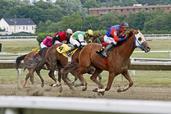 Groupe de chevaux de course en compétition pour terminer — Photo