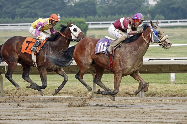 Horse Racing on a wet dirt track — Stock Photo, Image