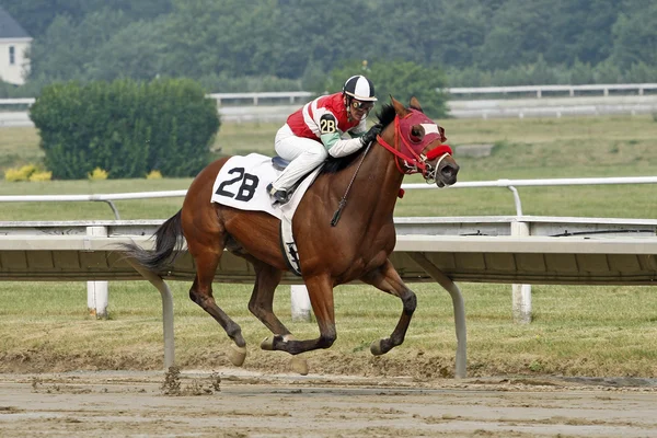 Op de voorgrond blijven en het winnen van de race — Stockfoto