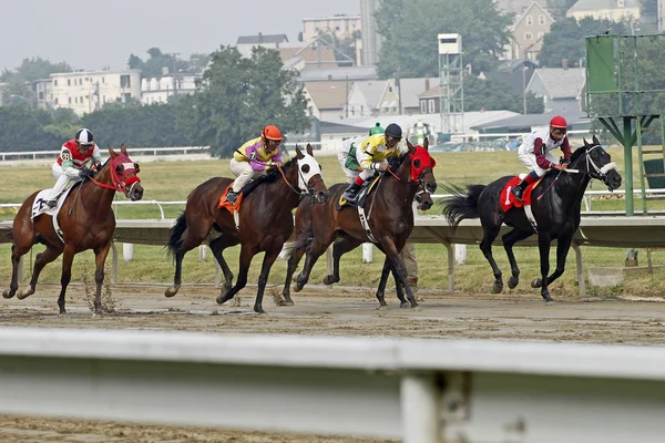 Horse Racing on a wet track — Stock Photo, Image