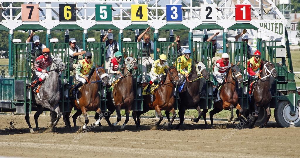 Horse Race Starting Gate Stock Editorial Photo C Loganimages 5917
