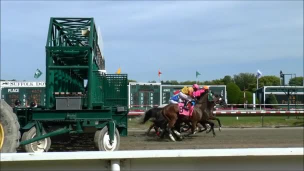 Horse Race start grinden öppnas — Stockvideo