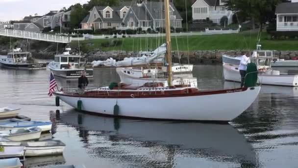 Sailboat returns to boat cove. — Stock Video